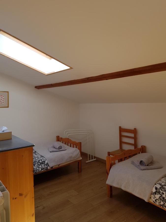 Les Trois Lions Apartment Foix Bagian luar foto