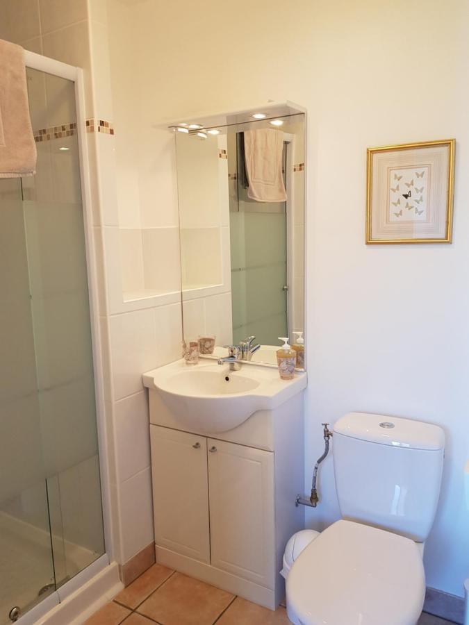 Les Trois Lions Apartment Foix Bagian luar foto
