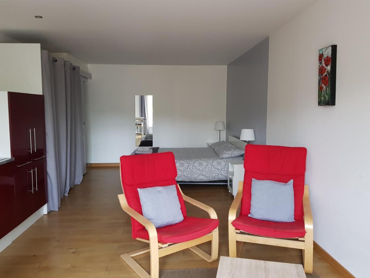 Les Trois Lions Apartment Foix Bagian luar foto