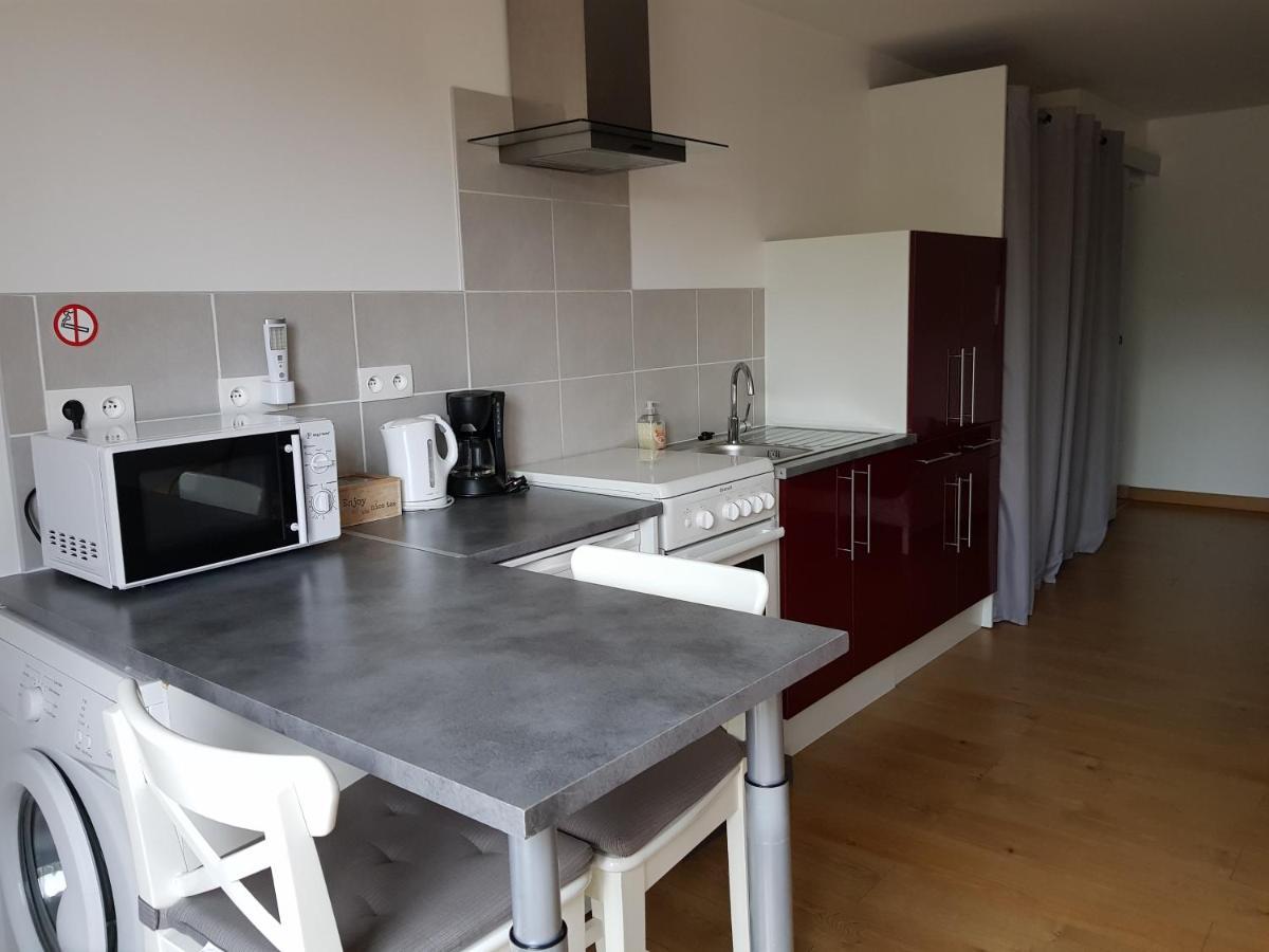 Les Trois Lions Apartment Foix Bagian luar foto